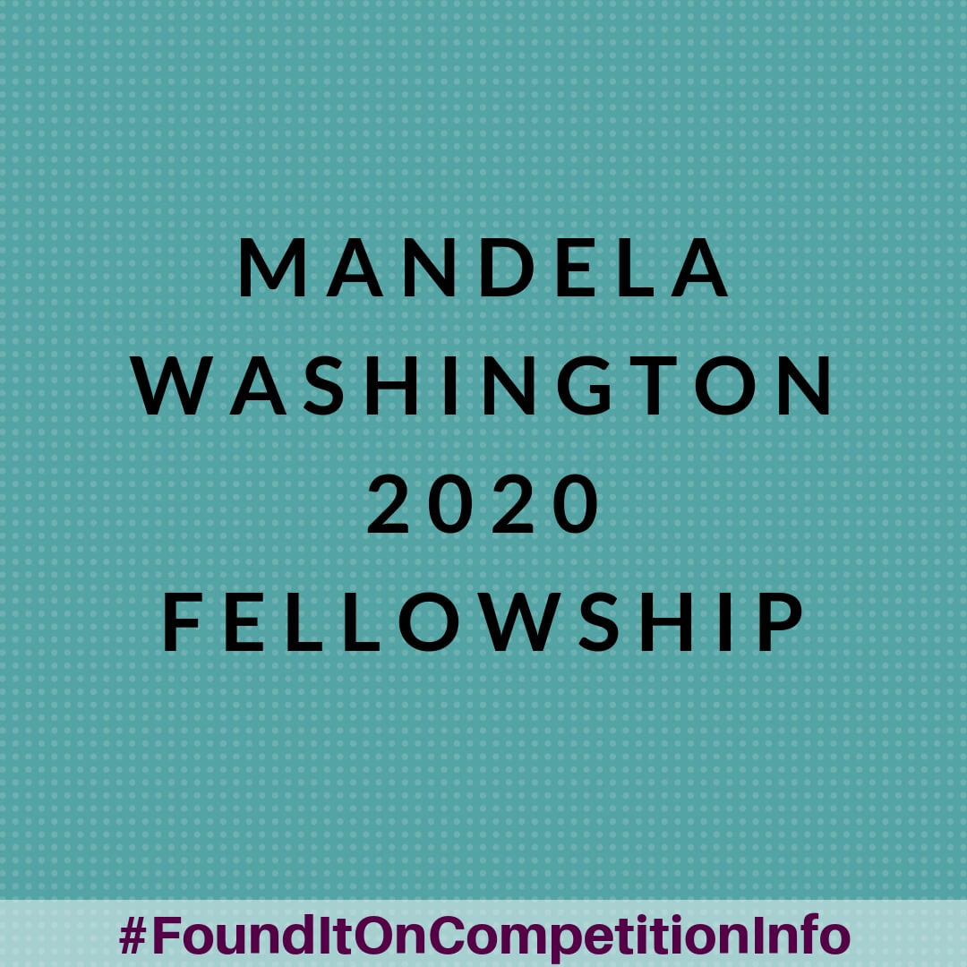 Mandela Washington 2020 Fellowship